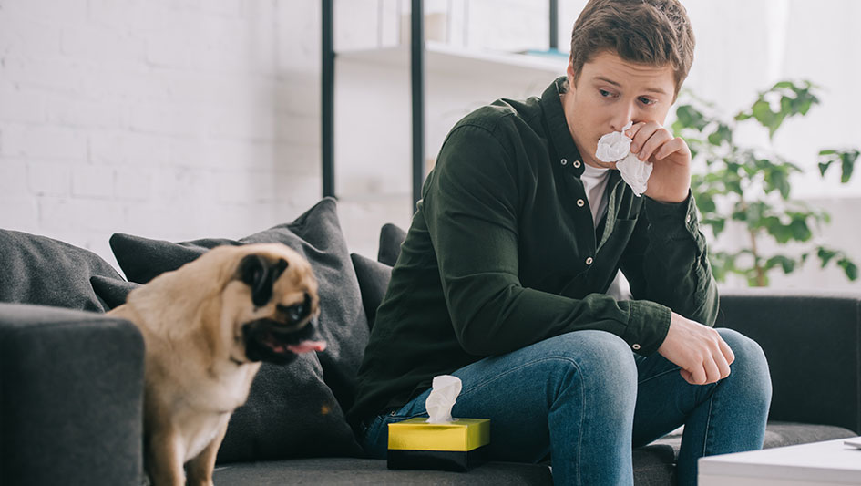 Purchasing an air purifier is one of the wisest approaches to boost your house’s indoor air quality. Find out more about the three best solutions. 